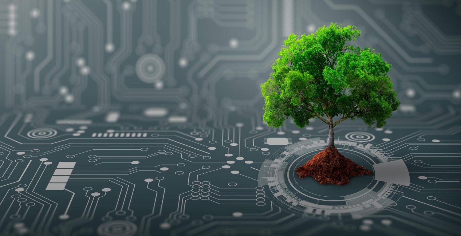 A young tree growing from a circuit board, representing AI readiness